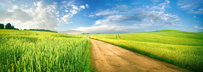 Beautiful summer rural natural landscape with fields young wheat, blue sky with clouds. Warm fresh...
