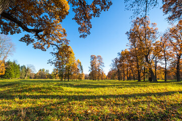 View of city park in autumn