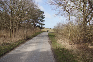 Dune path in the Dutch Zwanenwater nature reserve in North Holland near Callantsoog. Leafless trees, pine, walkers. Late winter, early spring, March.