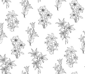 Clematis vector linear  Seamless flower pattern on white background.