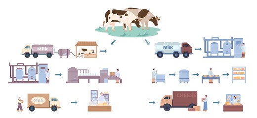 Cheese and milk production process on factory with workers and equipment.