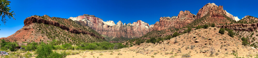 Zion National Park, Utah. Mountains and trees on a sunny summer day - Panoramic view