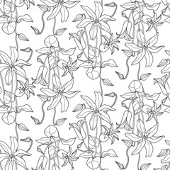 Fototapeta premium Clematis Floral linear seamless pattern/ Black and white version