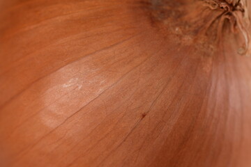 Macro shot of a onion