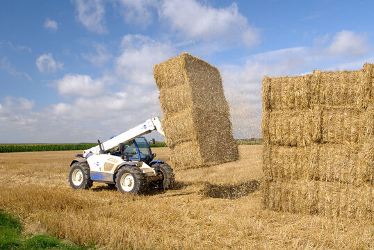 Chargement d'un camion de paille