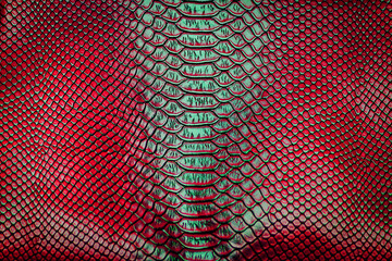 skin leather texture