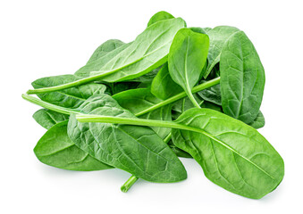 Spinach leaves isolated on white background. Various Spinach leaf