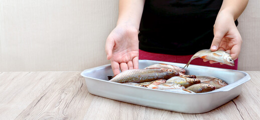 Fresh catch of river fish in a bowl on the table. Hands hold raw fish.