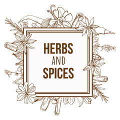 Hand-drawing background with organic and natural sketch herbs and spices.	