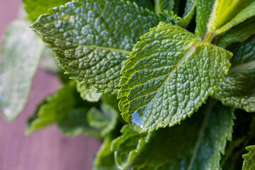 Close-up of mint leaves with water, on wooden table, horizontal