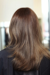 light brown long loose hair closeup photo in hair salon back view