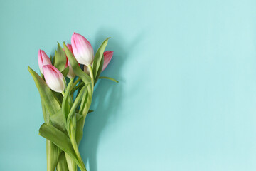 beautiful pink tulip flowers on pastel blue background, mother day template, mockup with flowers