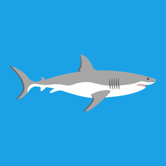 Shark icon. Big white shark. Sea dangerous predator. Angry animal. Vector illustration flat design. Isolated on white background.