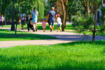 city park on a summer day, green lawns with grass and trees, paths and benches, people walking and children playing, bright sunlight and shadows - obrazy, fototapety, plakaty