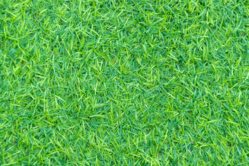 Green artificial grass texture