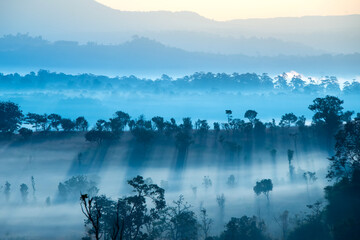 Aerial view sunrise over mountain with fog over the ground in foreground savannah Meadow,Cool forest , Petchaboon province, Thailand,asia.