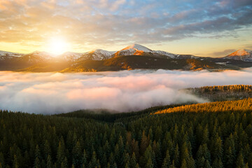 Aerial view of vibrant sunrise over Carpathian mountain hills covered with evergreen spruce forest in autumn.