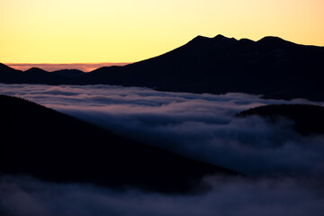 Distant dark mountain hills covered with dense pine forest surrounded with white foggy clouds at sunrise.