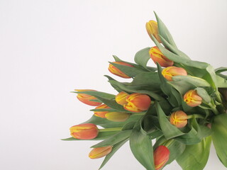 Bukiet wiosennych tulipanów.