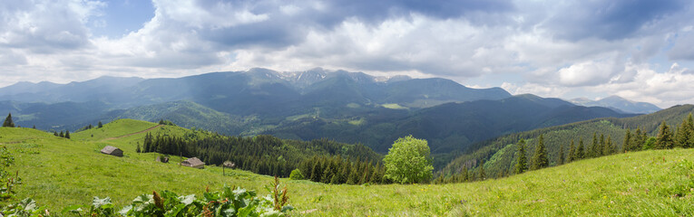 Distant mountain range and alpine meadows on a foreground