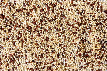 Closeup of red, white and brown quinoa mix.