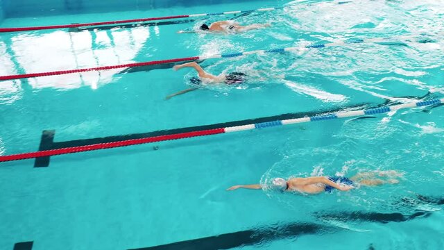 Top view of swimmers training in a swimming pool