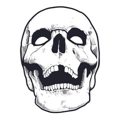 Engraving Style Skull With Open Mouth