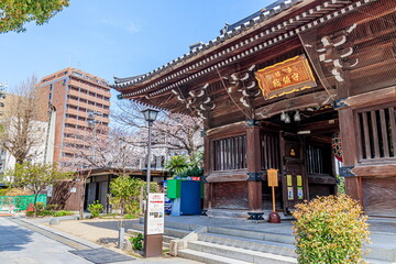 Fototapeta premium 春の櫛田神社 神門 福岡県博多区 Kushida Shrine in spring Fukuoka-ken Hakata-ku