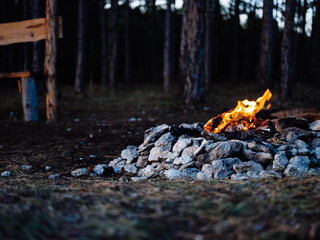 kindled fire in nature in the forest and trees In the background