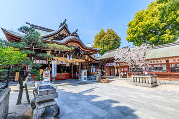 春の櫛田神社　福岡県博多区　Kushida Shrine in spring Fukuoka-ken Hakata-ku - obrazy, fototapety, plakaty