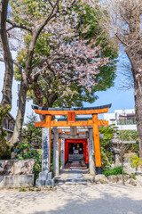 春の櫛田神社（注連掛稲荷神社）福岡県博多区　Kushida Shrine in spring Fukuoka-ken Hakata-ku