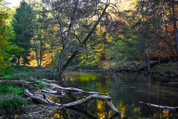 jesień w rezerwacie Las Warmiński na Warmii w północno-wschodniej Polsce © Janusz Lipiński