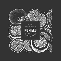 Hand drawn sketch style pomelo banner. Organic fresh fruit vector illustration on chalk board. Retro fruit design template