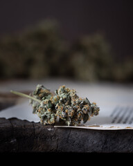 Cannabis indoor grown resinous and trichome covered bud. Strain name Blunicorn. Orange pistils and green bud. Old book pages background.