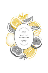 Hand drawn sketch style pomelo banner. Organic fresh fruit vector illustration. Retro fruit design template