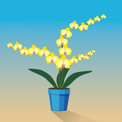 A yellow Orchidaceae plant in a blue pot