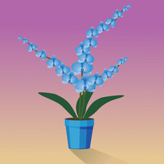 
A blue Orchidaceae plant in a blue pot