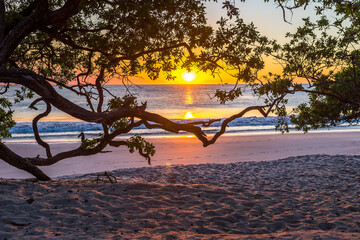 Beautiful sunset tropical beach with silhouette of trees for travel and vacation in holiday relax...