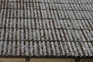 Wellasbest auf einem Dach 2