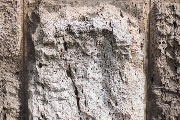 texture of a light gray stone with a porous structure, a fragment of an old slab of a building cladding, a gray stone surface for inserting text