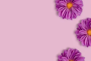 Zelfklevend Fotobehang Frame made of dahlia flowers on a purple background. Creative floral concept with copyspace. © rorygezfresh