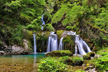 Wasserfall im Wald mit Moos auf Fels