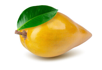 Egg fruit, Canistel, Yellow Sapote isolated on a white background.