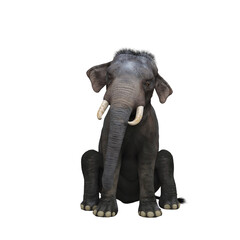 Fototapeta na wymiar Indian elephant sitting. 3D illustration.