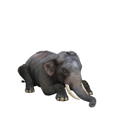 Indian elephant resting. 3D illustration.