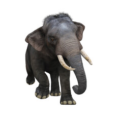 Indian elephant running towards the camera. 3D illustration.