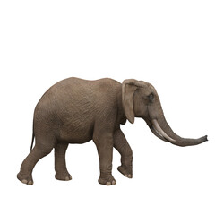 Side view of African elephant walking. 3D illustration.