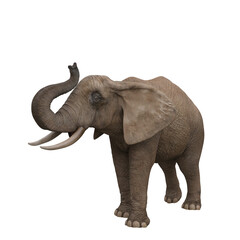 African elephant trunpeting. 3D illustration.