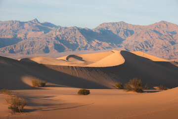 Dramatic light and shadow over desert landscape of the golden Mesquite flat sand dunes against the...