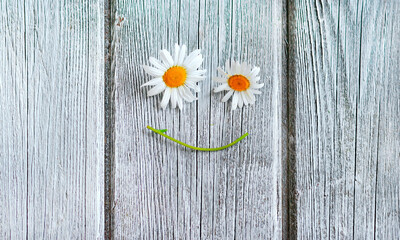 smiley face made with daisies